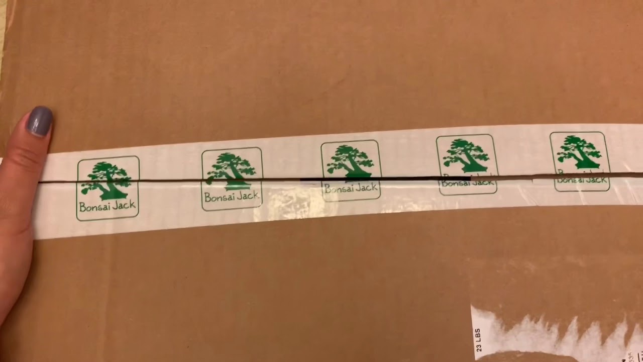 Bonsai Jack Succulent Soil Review YouTube