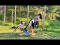 A EGUA DERRUBOU O FERRADOR !! *Ferrando a Historia pela primeira vez* | Gêmeas Brasil