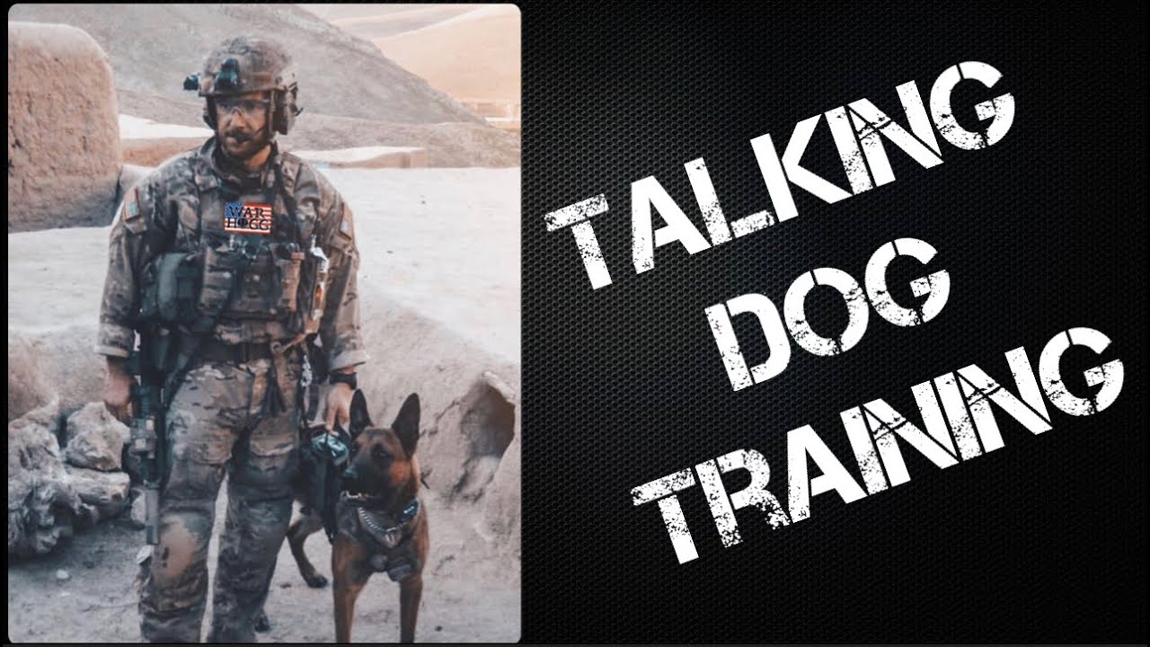 Dog Training Tips YouTube