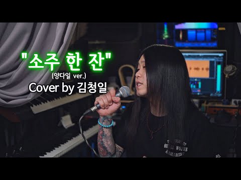Cover 임창정 소주 한 잔 2 Key 양다일 Ver 고음도사 김청일