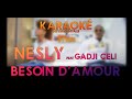 Karaok duo  nesly feat gadji celi  besoin damour  instrumentale 