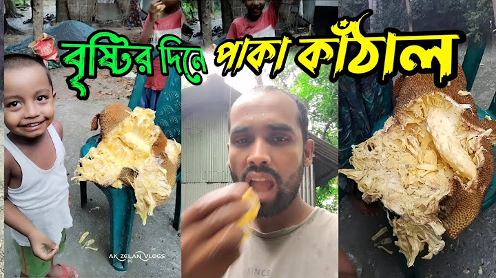 ভাবিদের সাথে বৃষ্টিতে ভিজে গাছ থেকে পাকা কাঁঠাল পেড়ে খেলাম।ak zelan vlogs