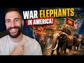 I Conquered America with War Elephants! | HOI4