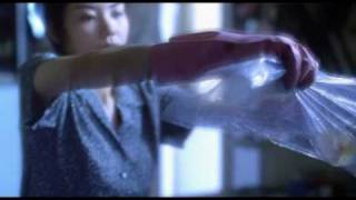 Video thumbnail of "Faye Wong-Chunking Express-Dream Person"