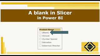 Cleaning Blank in Slicer | Power Query | Power BI