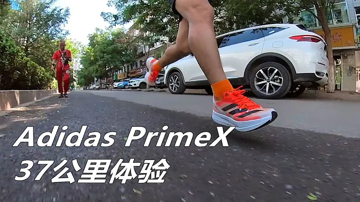 「夸张厚底」阿迪达斯 Adidas PrimeX 超弹泡棉最极端的跑鞋 37公里体验 | 亚平宁的蓝色 - 天天要闻