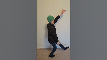 WE LOVE STICK BUGS!!! Sticky Sticky Bug Dance