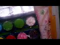 Как сделать тени из крема и гуашью 2 часть