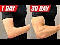 6 BEST Exercises get bigger arms in 30 days  home workout
