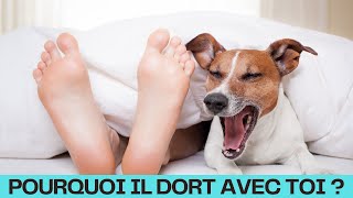 Pourquoi Ton Chien  DORT Avec Toi ?Voici 7 RAISON Qui Peuvent Vous SURPRENDRE