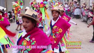 Contrapunteo De Pastoras En Calachota Allauca Yauyos