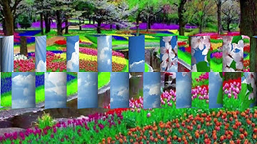 صوت يهز القلب القارئ فاتح سفرجيك سورة الرحمن
