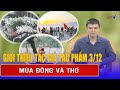 Khám Phá Tác Phẩm 'Mùa Đông và Thơ' – Giới Thiệu Tác Giả & Nội Dung Đặc Sắc ❄️