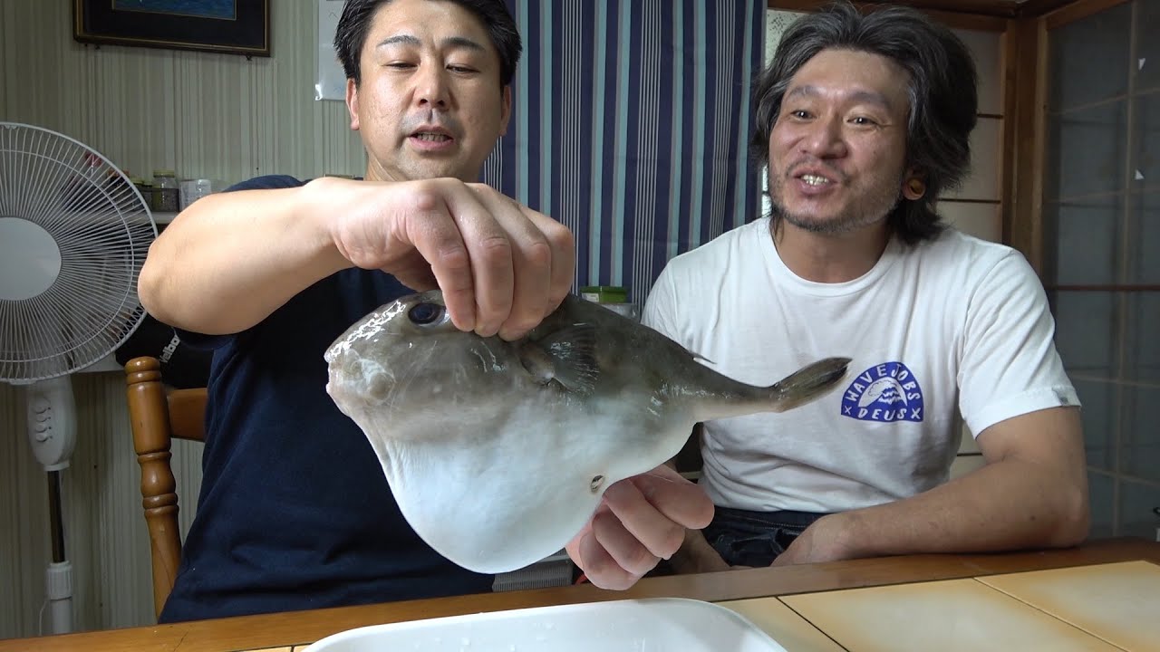 フグ鍋 プニプニのかわいいフグをお鍋でいただきます Youtube フグ鍋 プニプニのかわいいフグをお鍋でいただきます Youtube