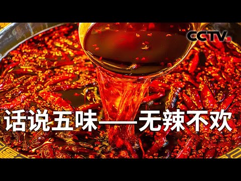 《解码科技史》 20240303 话说五味——无辣不欢|CCTV科教