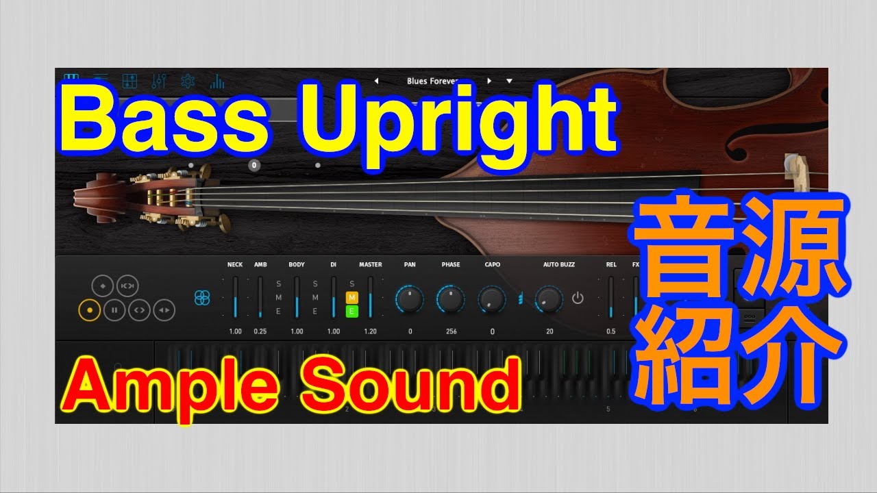 Басс версии песен. Ample Bass Upright. Upright Bass VST. Acustic Bass VST. Ample Sound коробочка.