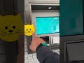 Cute Cat ATM Surprise: Discover the Kitten Debut