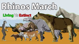 Rhinos March Size Comparison Living Vs Extinct 2023 | Rhinos Walk Animation in 2023