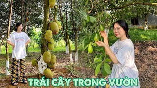 Vườn nhà có kha khá Trái Cây! | Tiểu Màn Thầu!