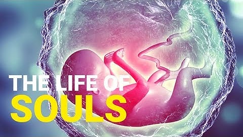 The Life Of Souls in Islam - Shaykh Hasan Ali