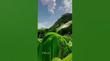 جو يجنن يهبل يموت 