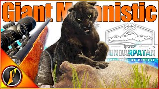 GIANT Melanistic Snow Leopard! | theHunter Call of the Wild Multiplayer!