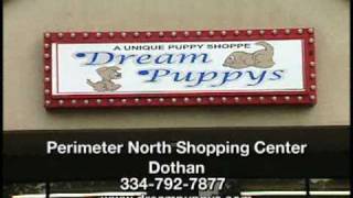 Dream Puppys
