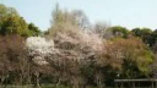 Under the Asbestos Eaves: Two Years in Japan Part 13