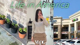 🇺🇸US vlog | 1시간걸려 한국다녀왔다구요! 흐흫 | 애틀랜타 헤어커트, 시온마트 장보기 | 첫 미국 치과 진료 🫠