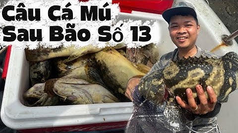 Câu Cá Mú Sau Bão Số 13 Ở Vịnh Xuân Đài - Phú Yên