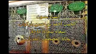 Qosidah ya Rasulullah galbi yehebbakقصيدة يارسول قلبي يحبك|habib ahmad bin hasan bin salim barakwan