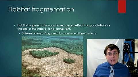 Habitat fragmentation