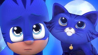 Pj Masks Em Portugus  O Gato De Estimao Do Rob  Compilao De Episdios  Desenhos Animados