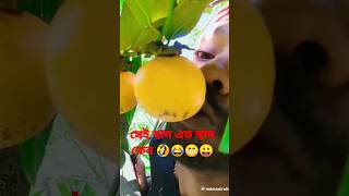 সেই স্বাদ ? #inshot #funny #busloverstory #comedy #publictransport #ভাইরাল#tiktokvideo #