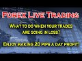 Forex Live Trading 20 pips a day! I made a mistake...how did i fix it?