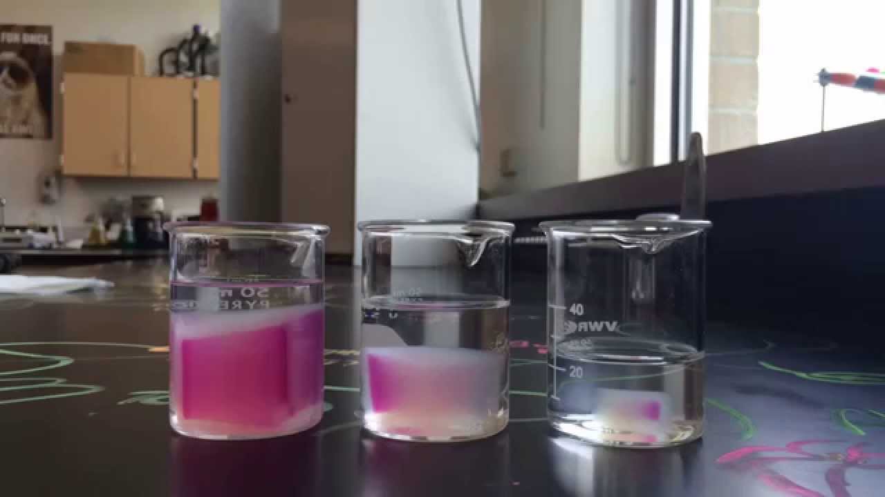 Diffusion Osmosis AP Biology Lab YouTube