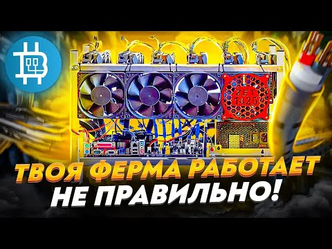 Бейне: ФЕРМА НЕ ІСТЕЙДІ?