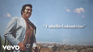 Vicente Fernández - Caballo Golondrino (Letra / Lyrics)