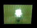 energy efficient light bulb in microwave