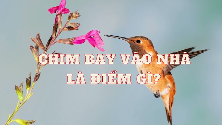 Chim sâu bay vào nhà là điềm báo gì năm 2024