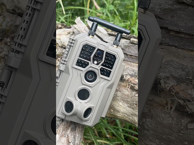 Jakie zalety i wady ma fotopułapka GardePro H8 2.0 Pro? #fotopułapka #trailcamera #cameratrap