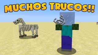 MOBS EDITADOS, FILL, EXECUTE, NBTs | Muchos Trucos