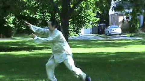 Chen style 56 taichi competition form by Ding jian...