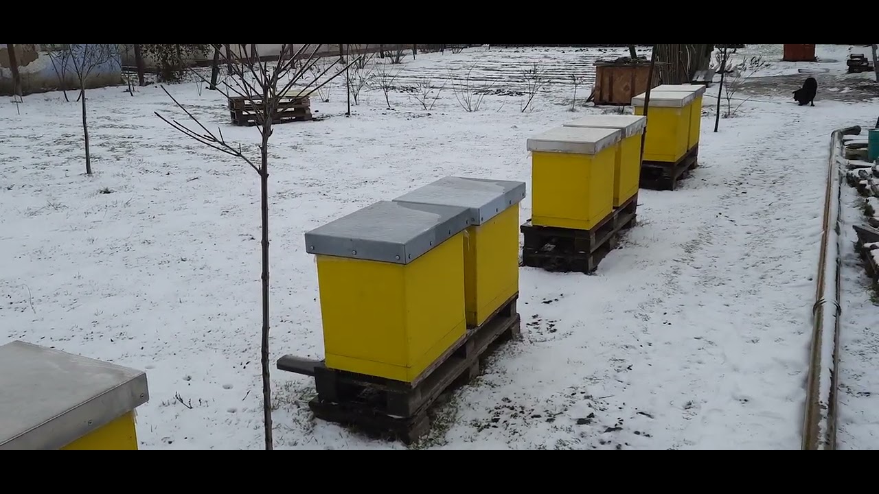 Зимівля на сітчастому дні в потужні морози!