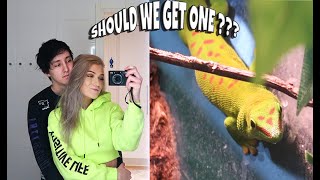 Looking for a new pet │ Vlog 3