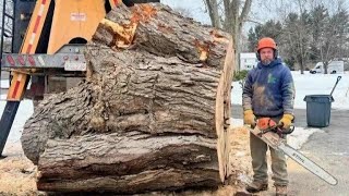 Dangerous Skills Cutting Tree Complicated With Chainsaw Machine, Heavy Biggest Felling Tree Machine