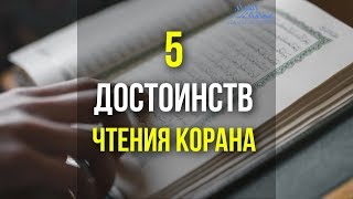 5 ДОСТОИНСТВ ЧТЕНИЯ КОРАНА