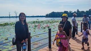 Temple & Wildlife Trip In Siem Reap Angkor Wat Cambodia by SKP LIFESTYLE 4,763 views 9 months ago 1 hour, 7 minutes