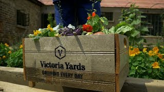 Victoria Yards - February 2018
Updated video on Victoria Yards, an inner-city landscape completely different to anything Joburg currently offers. Through building an eco-system where tenants thrive as a community, Victoria Yards presents a uniquely integrated urban complex that is as much about social development as commercial enterprise. Victoria Yards - February 2018