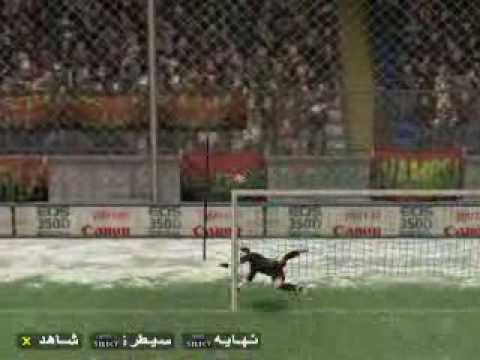 هدف كريم زياني بتعليق حفيظ دراجي